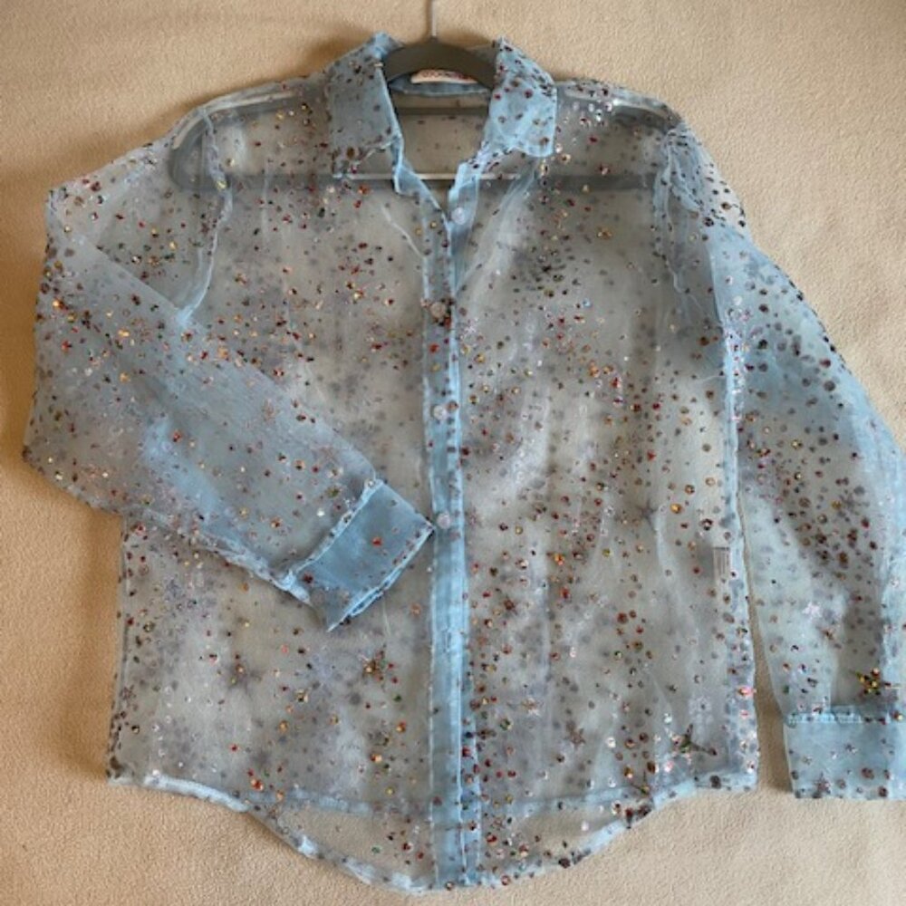 Sparkly See-Through Top
